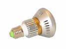 Portable Garden Decoy Mini Bulb Motion Detect Nightvision Security Cam