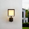 Outdoor Wall Light/ Path Light